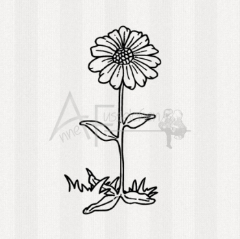 Motivstempel - Daisy